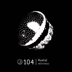 Double Beak (Original Mix)