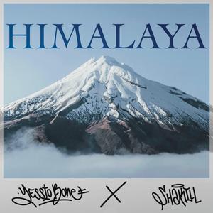 Himalaya (feat. Shakill)