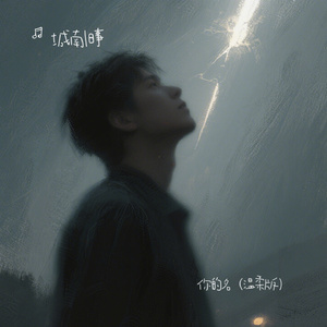 你的名（温柔版）