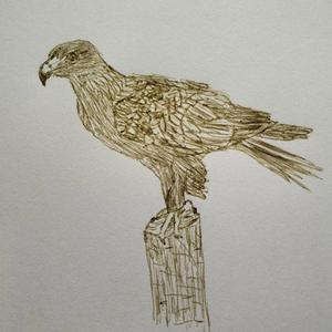 Águila Real