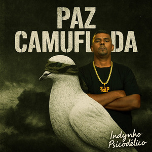 O Caos Vem Disfarçado de Luz