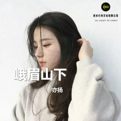 人不疯狂难成梦