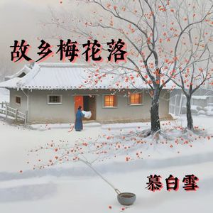 故乡梅花落