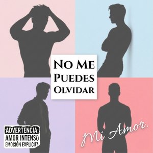 No Me Puedes Olvidar