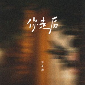 你走后 (0.8x)