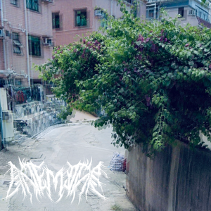 缘 ANEMONE(Demo无鼓)