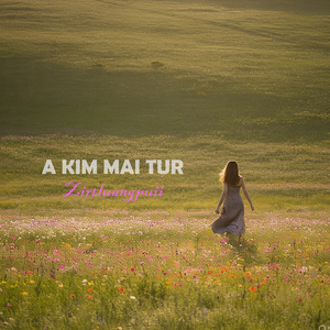 A kim mai tur