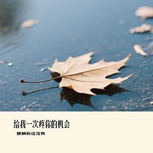 给我一次疼你的机会 (Remix)