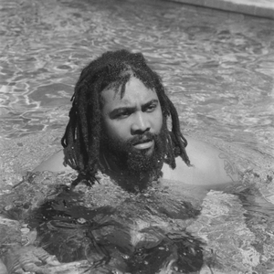 Bird´s Outta the Cage