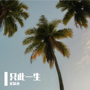 只此一生