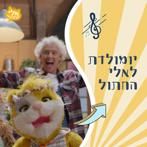 יומולדת לאלי החתול