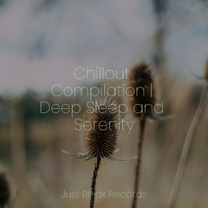 Echoes of the Ancient Trail