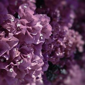 你说眼泪（Granli）