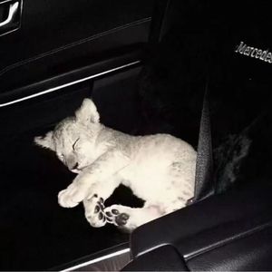 时光褶皱里的糖