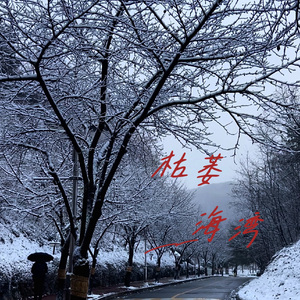 枯萎海湾 伴奏