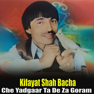 Che Yadgaar Ta De Za Goram