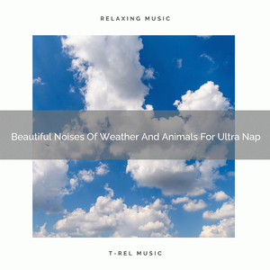 Beautiful Noises Of Weather And Animals For Ultra Nap