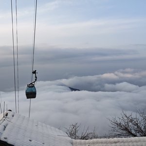 试探