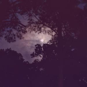 Night Falls