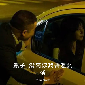 燕子 没有你我要怎么活