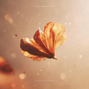 마른 꽃에서도 빛은 자란다