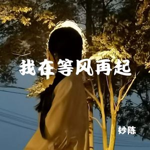 孤独本是人生常态