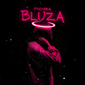 Bluza