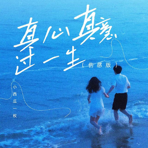 真心真意过一生 (伤感版)
