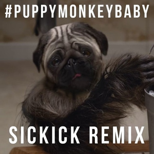 PuppyMonkeyBaby Remix