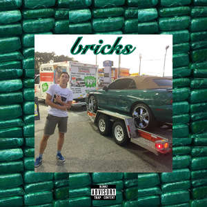 Bricks