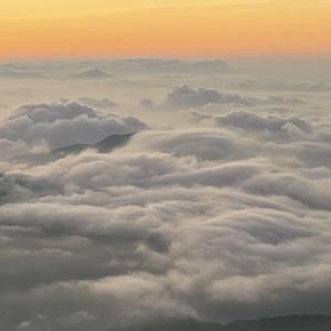 Momma boy（Mai 玩具盒bonus）