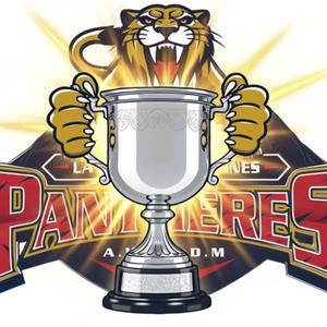 Panthères M9-C1 - 2025/2026