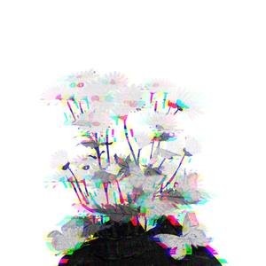 [FREE]''We shouldn't''