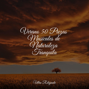 Hojas Revoloteando Hacia Abajo