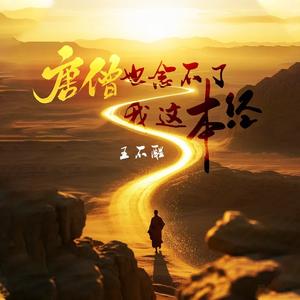 唐僧也念不了我这本经 (DJ沈念版)