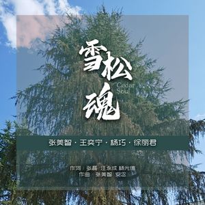 雪松魂