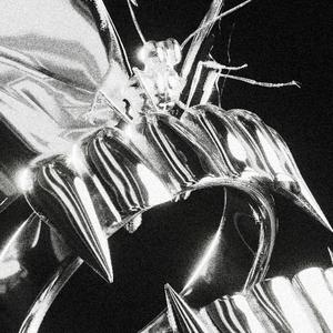 WE DIDDY (feat. DJ Yung Vamp)