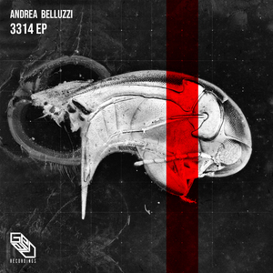 Time for a Gin Tonic