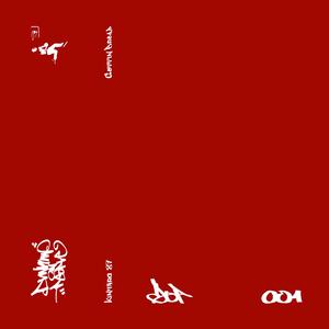 Chinese Chicken Wings