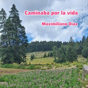 Caminaba por la vida