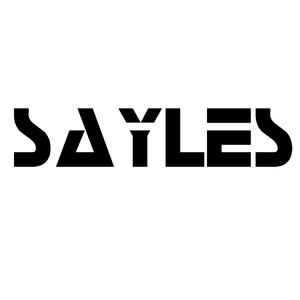 Well威尔-拜拜做作 (SAYLES-Remix)