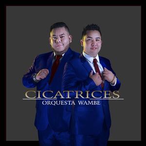 Cicatrices