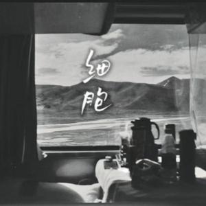 細胞（Clips Live）