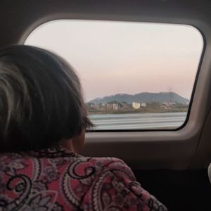 载满桃树的老屋前