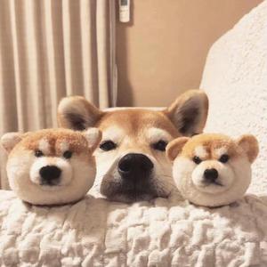 January【FREEBEAT】