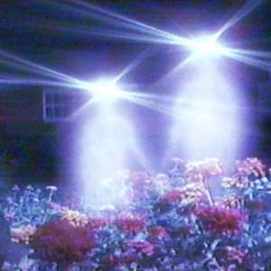 Girl of My Dreams (feat. GJ)