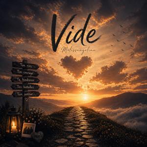 Vide