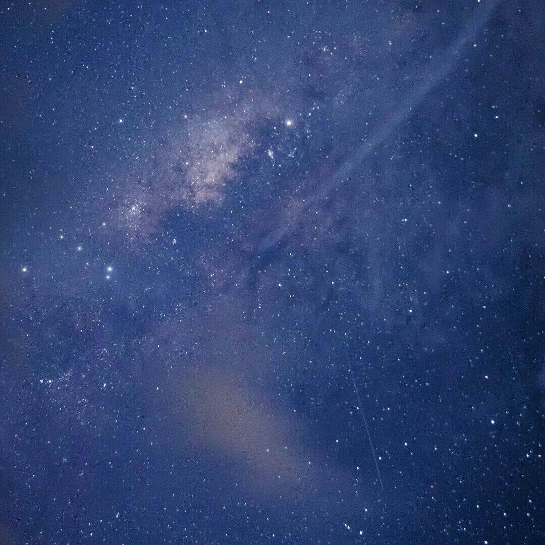 撒野- 歌单 - 网易云音乐