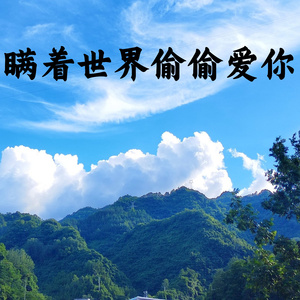 瞒着世界偷偷爱你