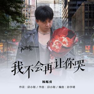 我不会再让你哭